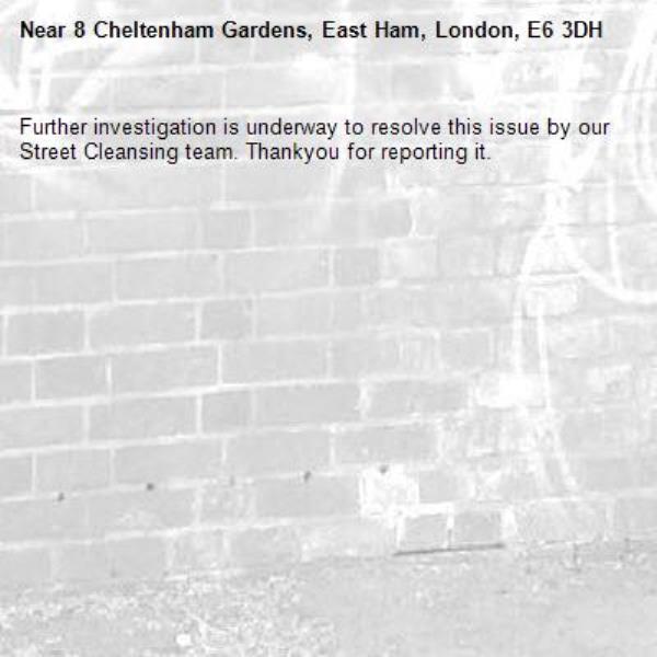 Further investigation is underway to resolve this issue by our Street Cleansing team. Thankyou for reporting it.-8 Cheltenham Gardens, East Ham, London, E6 3DH