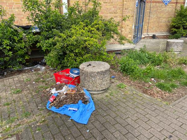 Garden and household waste dump outside Tottenham Green Leisure Centre-54 Philip Lane, Tottenham, London, N15 4JE