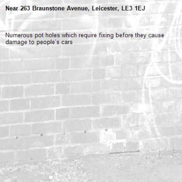 Numerous pot holes which require fixing before they cause damage to people’s cars-263 Braunstone Avenue, Leicester, LE3 1EJ