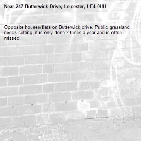 Opposite houses/flats on Butterwick drive. Public grassland needs cutting, it is only done 2 times a year and is often missed.-247 Butterwick Drive, Leicester, LE4 0UH