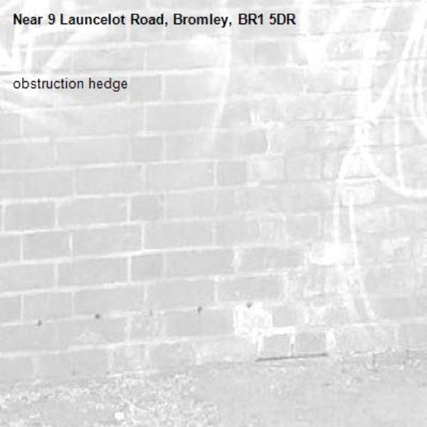 obstruction hedge-9 Launcelot Road, Bromley, BR1 5DR