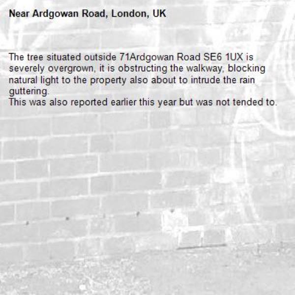 The tree situated outside 71Ardgowan Road SE6 1UX is severely overgrown, it is obstructing the walkway, blocking natural light to the property also about to intrude the rain guttering.
This was also reported earlier this year but was not tended to.-Ardgowan Road, London, UK