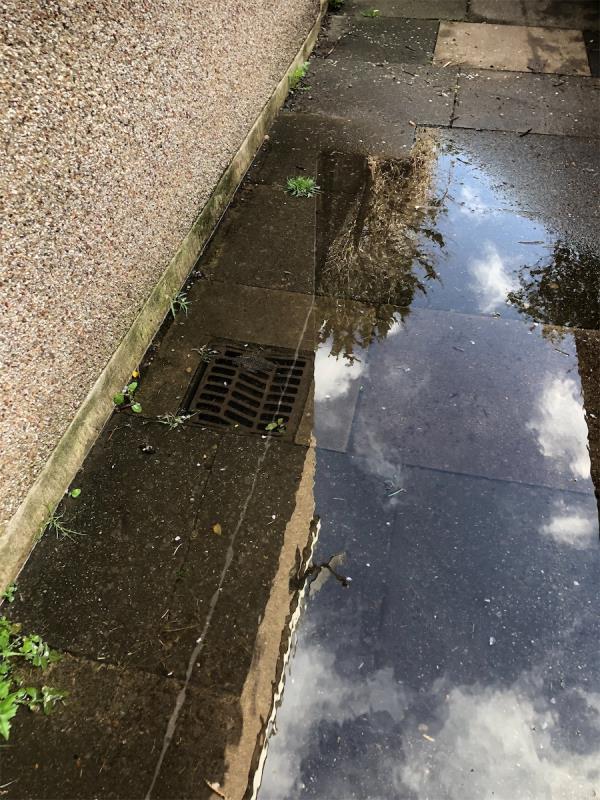 In Alleyway Leading to Chinbrook Meadows. Please clear blocked gully-21 Portland Road, Bromley, BR1 5BB