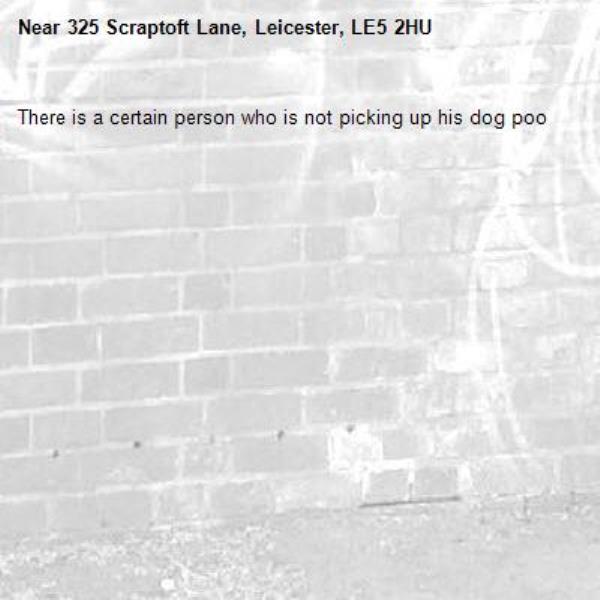 There is a certain person who is not picking up his dog poo-325 Scraptoft Lane, Leicester, LE5 2HU