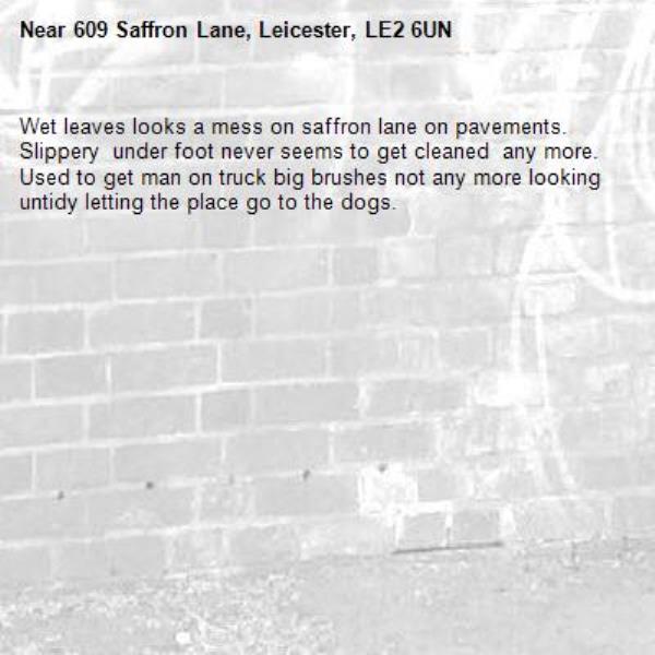 Wet leaves looks a mess on saffron lane on pavements. Slippery  under foot never seems to get cleaned  any more. Used to get man on truck big brushes not any more looking untidy letting the place go to the dogs.-609 Saffron Lane, Leicester, LE2 6UN