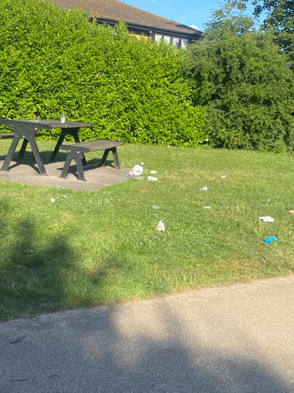 Forest Lane park, some anti social people have made a mess on picnic benches. Still a fox poo on one table as well. -70 Magpie Close, London, E7 9DE