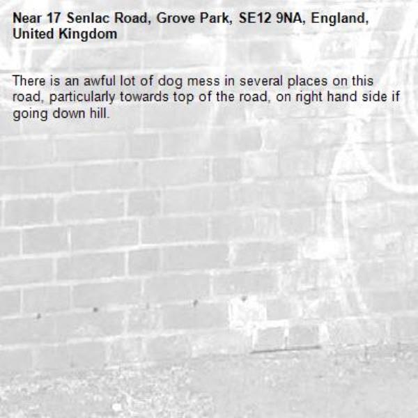 There is an awful lot of dog mess in several places on this road, particularly towards top of the road, on right hand side if going down hill.-17 Senlac Road, Grove Park, SE12 9NA, England, United Kingdom