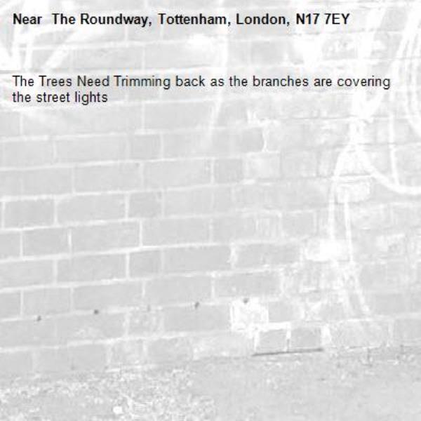 The Trees Need Trimming back as the branches are covering the street lights- The Roundway, Tottenham, London, N17 7EY