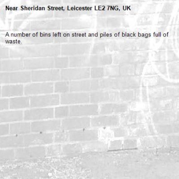 A number of bins left on street and piles of black bags full of waste.-Sheridan Street, Leicester LE2 7NG, UK