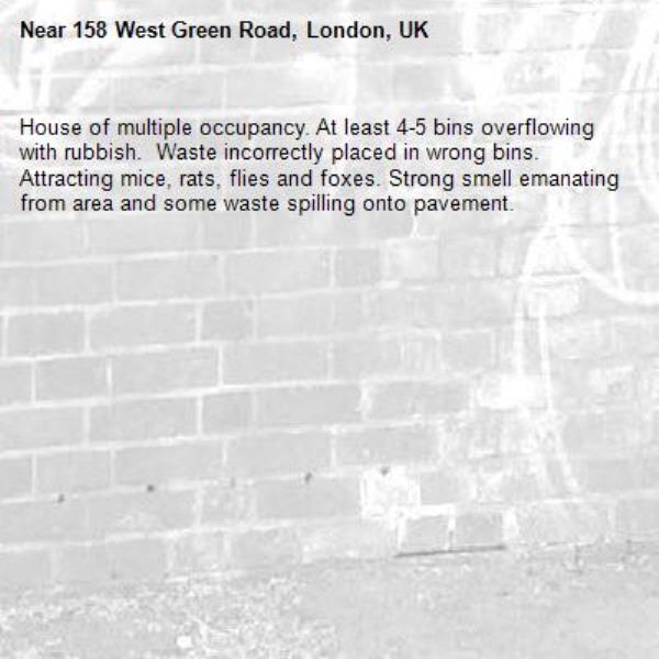House of multiple occupancy. At least 4-5 bins overflowing with rubbish.  Waste incorrectly placed in wrong bins. 
Attracting mice, rats, flies and foxes. Strong smell emanating from area and some waste spilling onto pavement. -158 West Green Road, London, UK