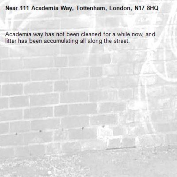 Academia way has not been cleaned for a while now, and litter has been accumulating all along the street.-111 Academia Way, Tottenham, London, N17 8HQ