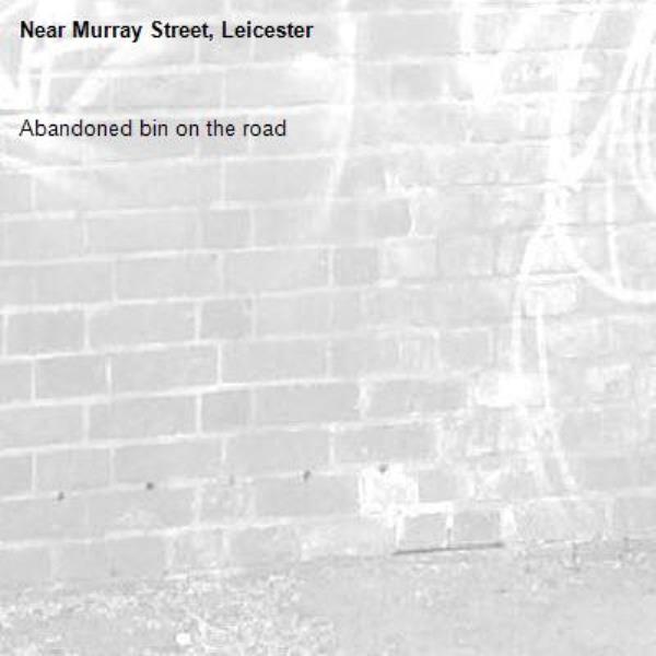 Abandoned bin on the road-Murray Street, Leicester