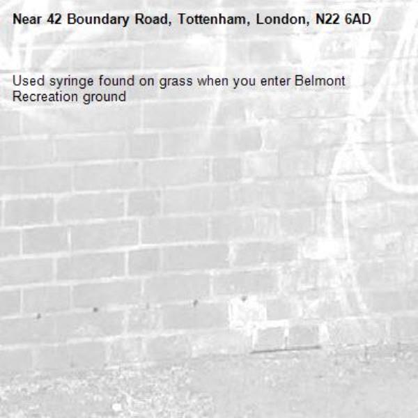 Used syringe found on grass when you enter Belmont Recreation ground-42 Boundary Road, Tottenham, London, N22 6AD