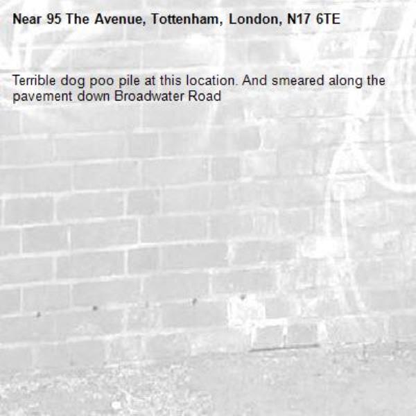 Terrible dog poo pile at this location. And smeared along the pavement down Broadwater Road -95 The Avenue, Tottenham, London, N17 6TE