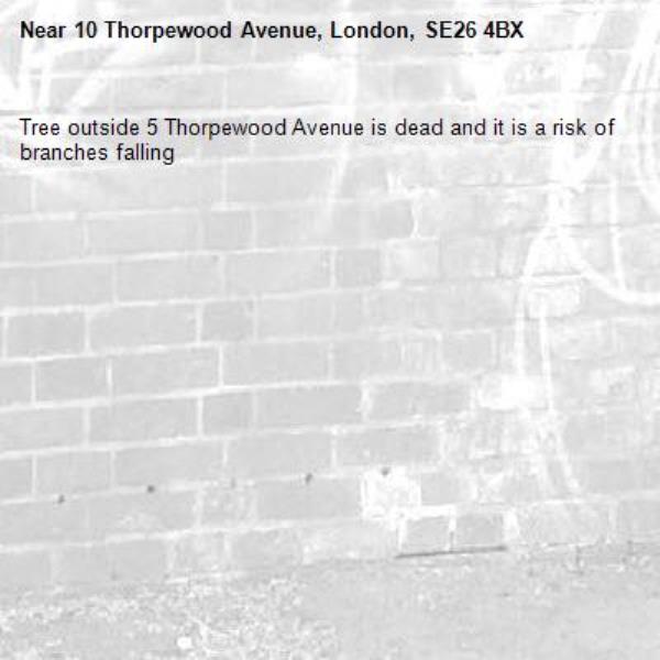 Tree outside 5 Thorpewood Avenue is dead and it is a risk of branches falling -10 Thorpewood Avenue, London, SE26 4BX
