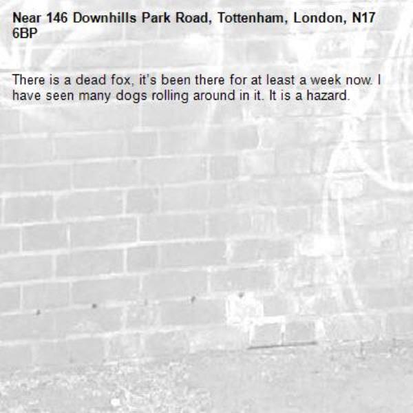 There is a dead fox, it’s been there for at least a week now. I have seen many dogs rolling around in it. It is a hazard. -146 Downhills Park Road, Tottenham, London, N17 6BP