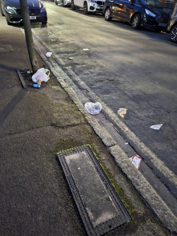 I have reported our street in a mess on a number of occasions. No action has been taken. We have mess scattered all along the footpath and roadside on both sides of the road. I want this mess clear at the earliest. Thanks -27 Colchester Avenue, Manor Park, London, E12 5LF