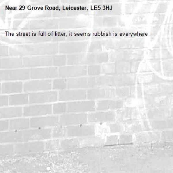 The street is full of litter, it seems rubbish is everywhere -29 Grove Road, Leicester, LE5 3HJ