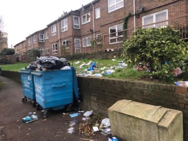 There are three huge bins, massively overflowing here. Silverdale has a huge litter problem, and this will only add to it, as there are hundreds of pieces of litter all around the bins. This is a health hazard, to say the least.-23 Grace Path, London, SE26 4SF