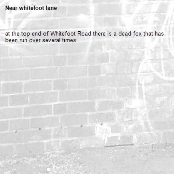 at the top end of Whitefoot Road there is a dead fox that has been run over several times-whitefoot lane