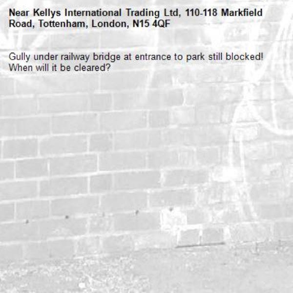 Gully under railway bridge at entrance to park still blocked! When will it be cleared? -Kellys International Trading Ltd, 110-118 Markfield Road, Tottenham, London, N15 4QF