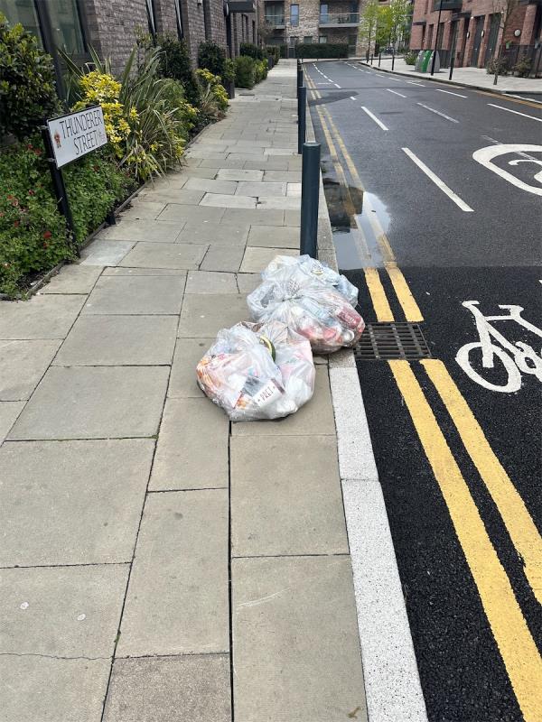 Council collection bags blown from green st-496-498 Green Street, Upton Park, London, E13 9DB