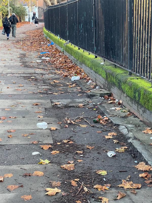Path next to park lined with masses of trash-28 Faringford Road, Stratford, London, E15 4DW