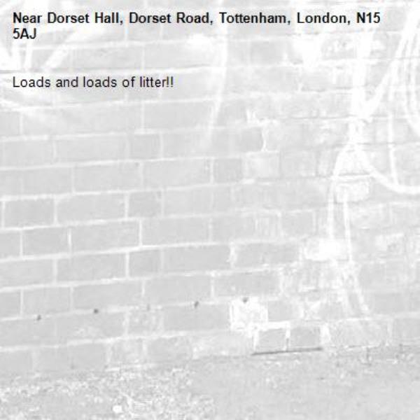 Loads and loads of litter!!-Dorset Hall, Dorset Road, Tottenham, London, N15 5AJ
