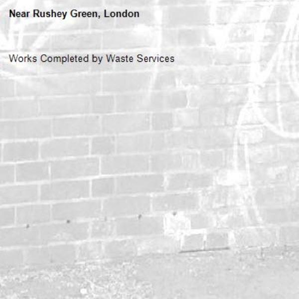 Works Completed by Waste Services-Rushey Green, London