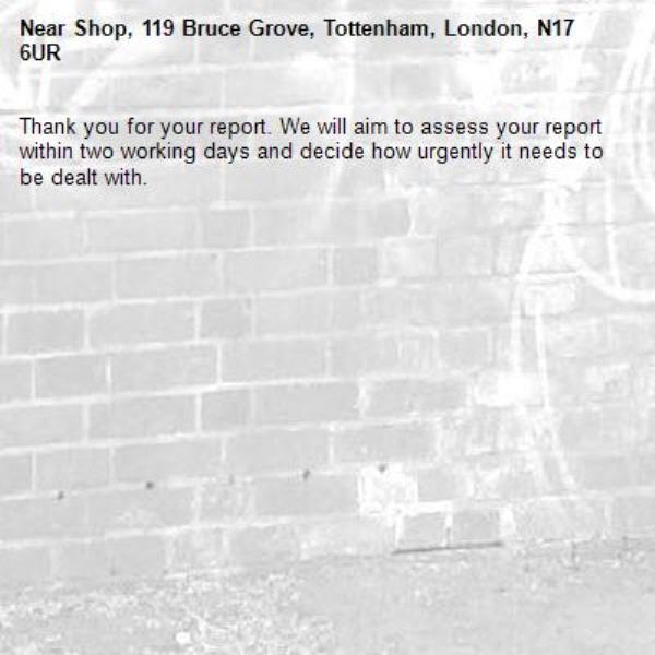 Thank you for your report. We will aim to assess your report within two working days and decide how urgently it needs to be dealt with.-Shop, 119 Bruce Grove, Tottenham, London, N17 6UR