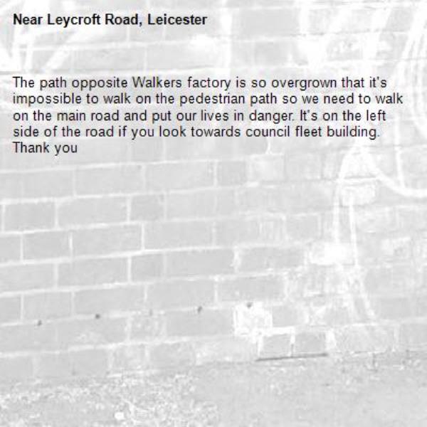 The path opposite Walkers factory is so overgrown that it's impossible to walk on the pedestrian path so we need to walk on the main road and put our lives in danger. It's on the left side of the road if you look towards council fleet building. Thank you-Leycroft Road, Leicester