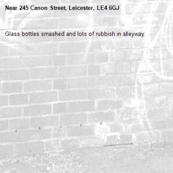 Glass bottles smashed and lots of rubbish in alleyway-245 Canon Street, Leicester, LE4 6GJ