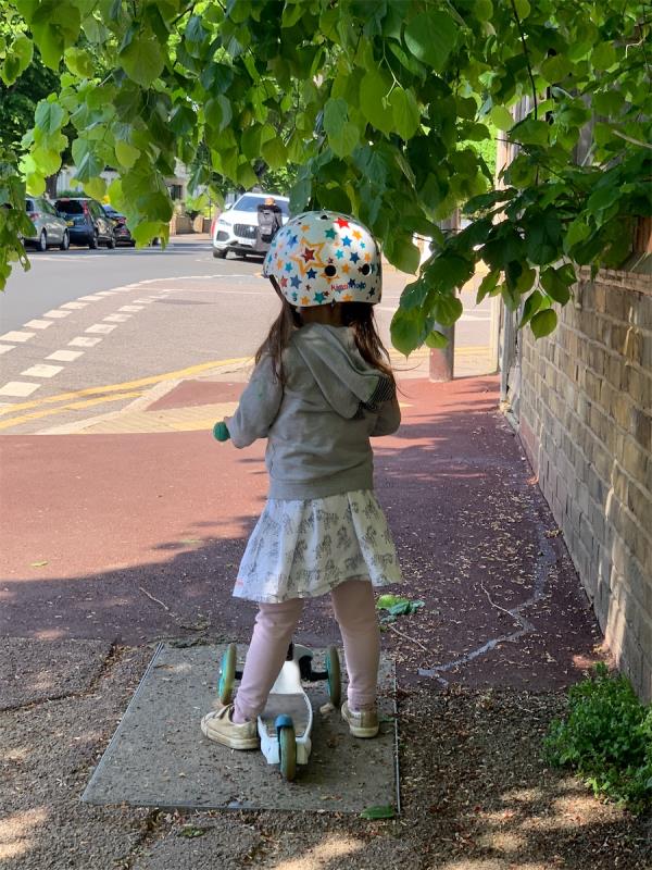 Tree branches overhanging too low over public pavement. This is my child, she is only 1m tall. She cannot walk along the pavement without ducking down to avoid the branches. How is any normal sized adult supposed to fit under? We all walk into the road during school drop off and pick up, if someone is run over by a vehicle it will be partly your fault because you have had a lot of notice that this pavement is not useable.-56A, Avenue Road, Forest Gate, London, E7 0LD