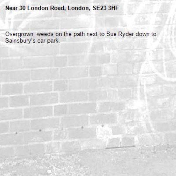 Overgrown  weeds on the path next to Sue Ryder down to Sainsbury’s car park.-30 London Road, London, SE23 3HF