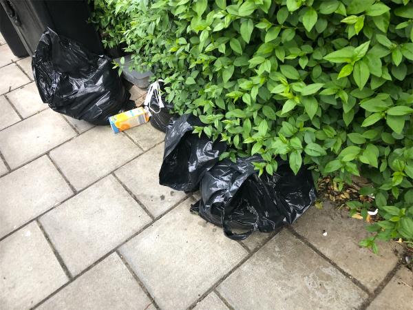 Pleas clear bags from under hedge-7 Galahad Road, Bromley, BR1 5DS