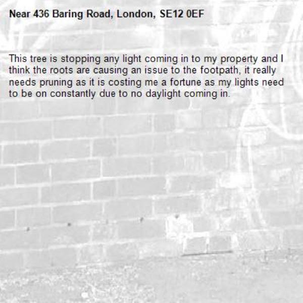 This tree is stopping any light coming in to my property and I think the roots are causing an issue to the footpath, it really needs pruning as it is costing me a fortune as my lights need to be on constantly due to no daylight coming in.-436 Baring Road, London, SE12 0EF