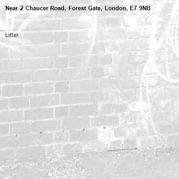 Litter-2 Chaucer Road, Forest Gate, London, E7 9NB