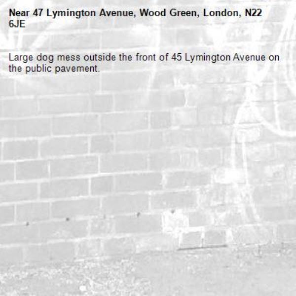 Large dog mess outside the front of 45 Lymington Avenue on the public pavement.-47 Lymington Avenue, Wood Green, London, N22 6JE