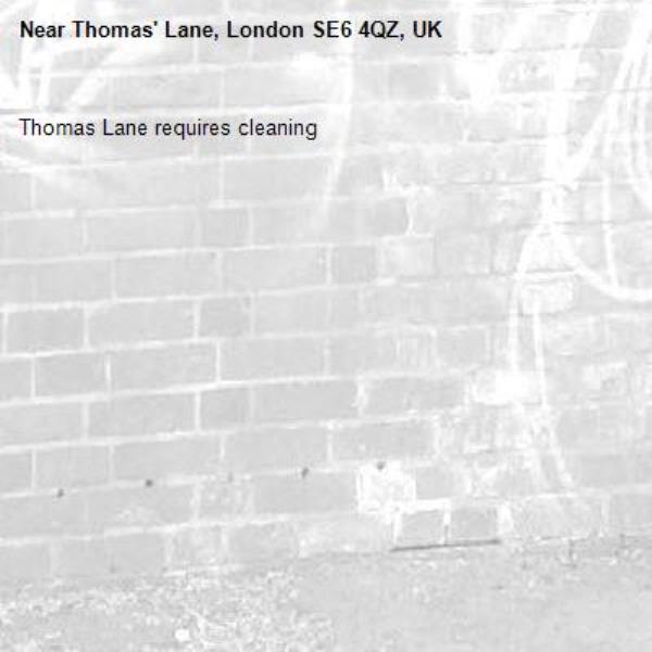Thomas Lane requires cleaning-Thomas&#39; Lane, London SE6 4QZ, UK