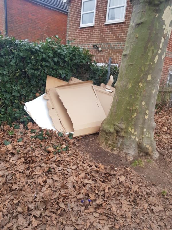 Cardboard dumped in park-76 Kensington Road, RG30 2SY, England, United Kingdom