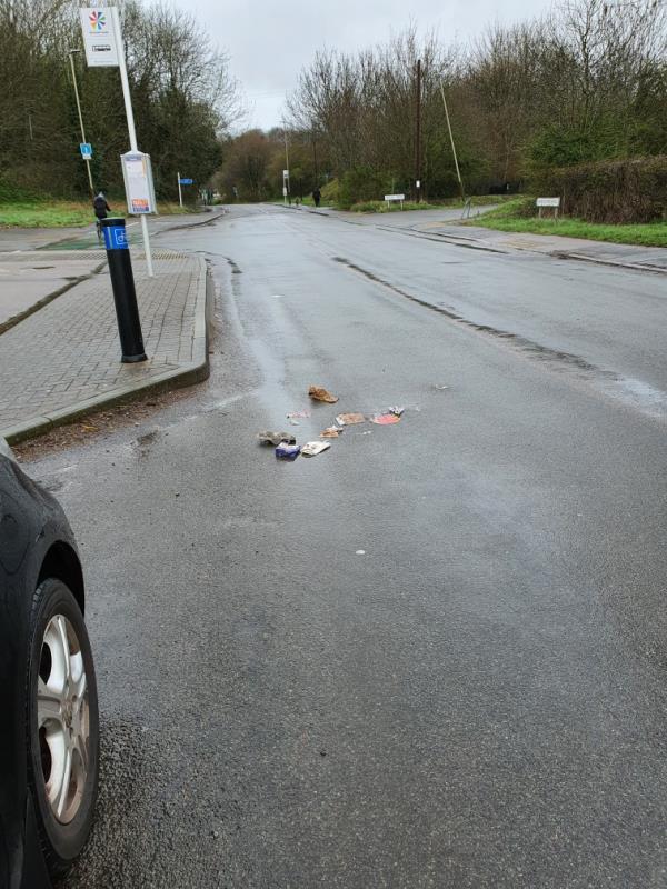 People throwing litter on the road, taking the rubbish from their cars and leaving it on the side/road.
We should have a bin near the bus stop.-260 Thurcaston Road, Leicester, LE4 2QE