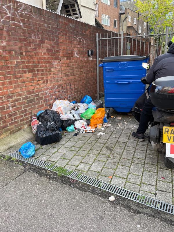Lewisham emptied the blue bin but fly-tipped themselves by leaving the accumulated waste and rubbish. This is beyond a joke.-Norfolk House, Brookmill Road, London, SE8 4HL