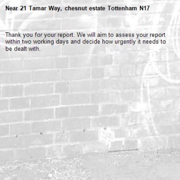 Thank you for your report. We will aim to assess your report within two working days and decide how urgently it needs to be dealt with.-21 Tamar Way, chesnut estate Tottenham N17 