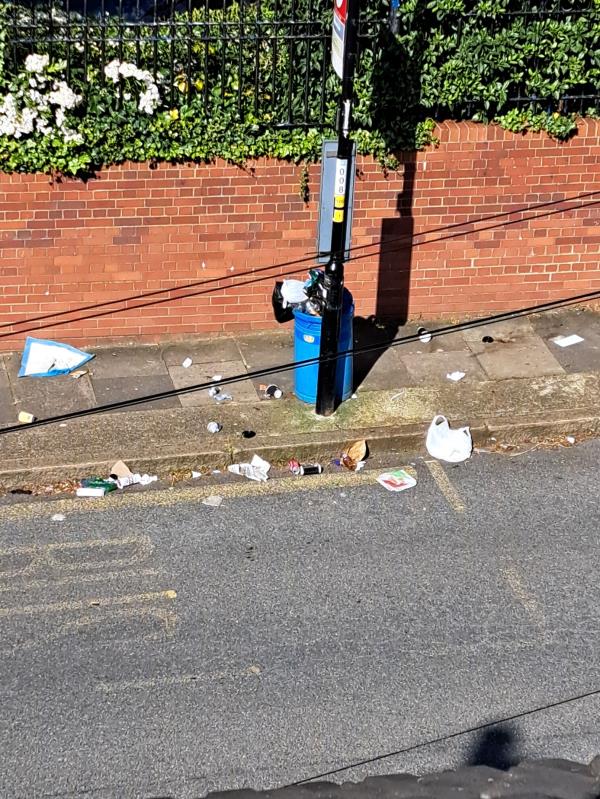 Litter bin rubbish all over pavement includes fox and bagged dog faeces-Se4 2nl
