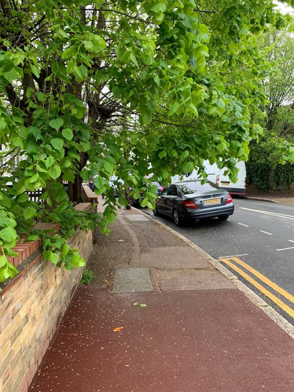 Tree is overhanging into public realm air space. This is a highly congested corner during the school runs as it leads to the local junior school, infants school and 3 nurseries depending on your direction of travel. It is often 4 abreast between a parent and child (on foot, on scooter, on bike) coming one way, and the same again the other way, often with buggies in tow. I am only 1.5m tall and I have to duck to walk through the branches. Normal height adults are having to walk into the road to g-56A, Avenue Road, Forest Gate, London, E7 0LD