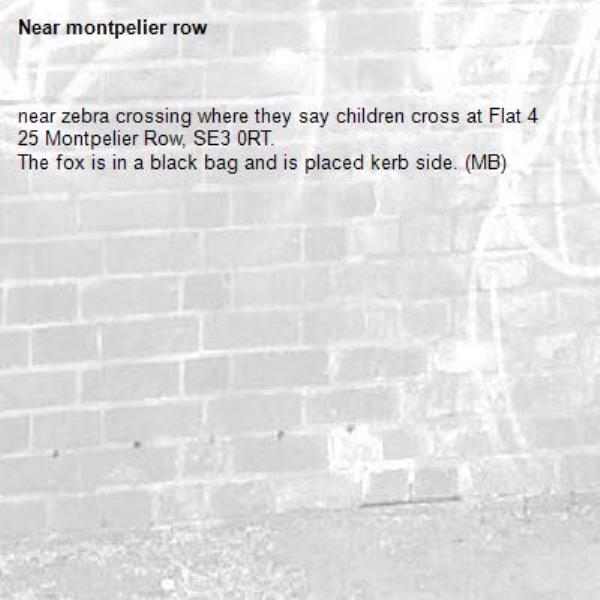 near zebra crossing where they say children cross at Flat 4 25 Montpelier Row, SE3 0RT.
The fox is in a black bag and is placed kerb side. (MB)
-montpelier row