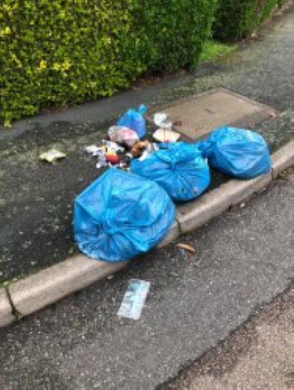 3 bags of rubbish dumped in exactly the same place as bags I reported the other day
-87 Southerngate Way, London, SE14 6DW
