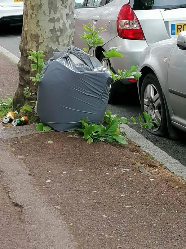Rubbish dump outside 117 shelly avenue E12 -17 Essex Road, Manor Park, London, E12 6RF