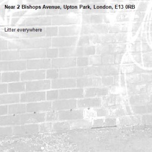 Litter everywhere -2 Bishops Avenue, Upton Park, London, E13 0RB