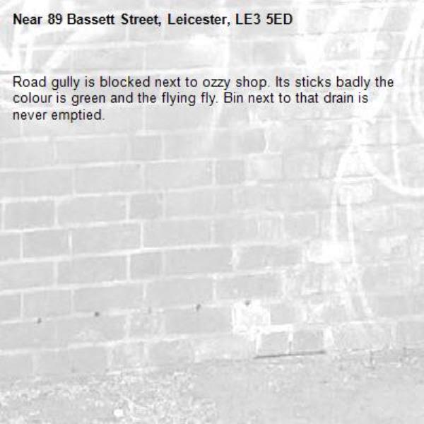 Road gully is blocked next to ozzy shop. Its sticks badly the colour is green and the flying fly. Bin next to that drain is never emptied. -89 Bassett Street, Leicester, LE3 5ED